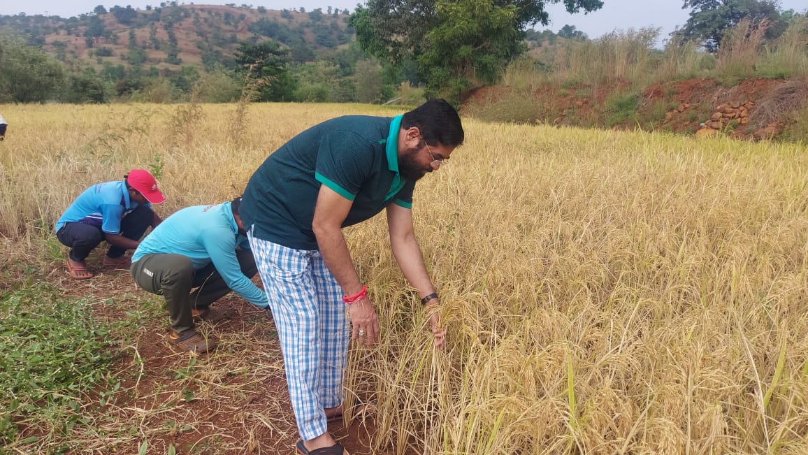 CM Eknath Shinde : मुख्यमंत्री म्हणजे शेतात राबणारा एक 'रांगडा' गडी! एकनाथ शिंदेंचे गावातील पैलू