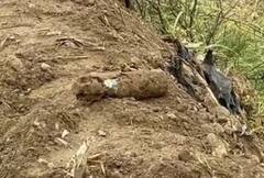 ਫਾਜ਼ਿਲਕਾ 'ਚ ਬੰਬ ਮਿਲਣ ਕਾਰਨ ਸਨਸਨੀ : ਪਿੰਡ ਬਾਧਾ 'ਚ ਮਿਲਿਆ 1965 ਜਾਂ 1971 ਦੀ ਜੰਗ ਦੇ ਸਮੇਂ ਦਾ 51 ਮੋਰਟਾਰ