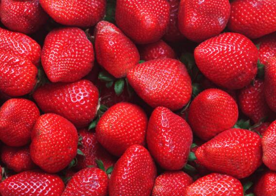 Foods for Cholesterol : कोलेस्ट्रॉल कम करने के लिए खाएं ये फूड्स, परेशानियों में मिलेगा छुटकारा
