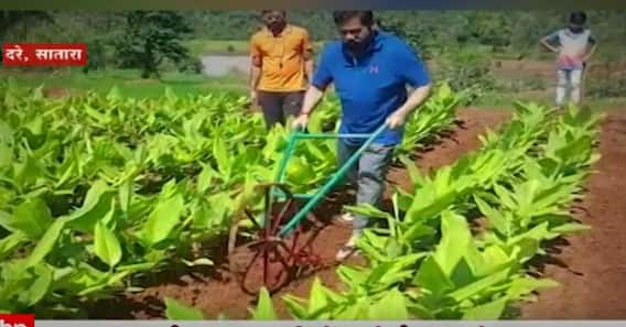 CM Eknath Shinde and Farming Special Report: मुख्यमंत्री एकनाथ शिंदेंचं शेतीवरचं प्रेम ABP Majha