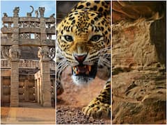 Tourist Place of Bhopal: अगर भोपाल जा रहे हैं तो इन पांच जगहों को देखे बिना वापस न आएं, होगा पूरा पैसा वसूल