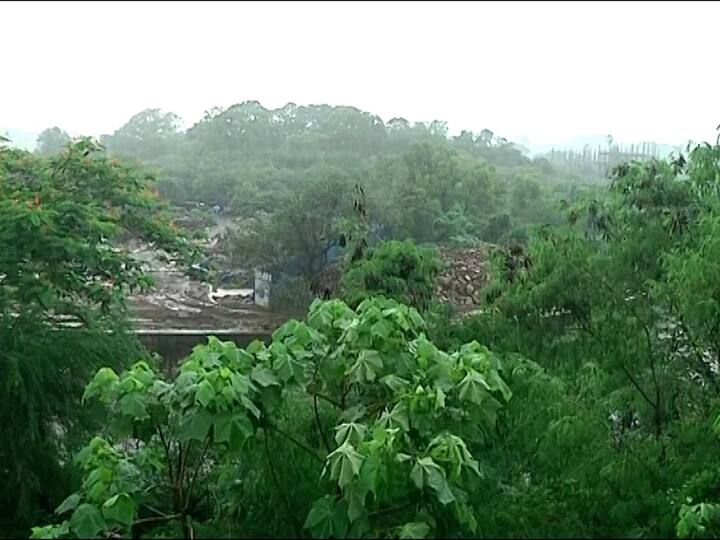 अशी कारण म्हणजे कालच पहिल्याच कॅबिनेट मंत्रिमंडळाच्या बैठकीत उपमुख्यमंत्री देवेंद्र फडणवीस यांनी या कामाचा रिपोर्ट मागितला आहे.