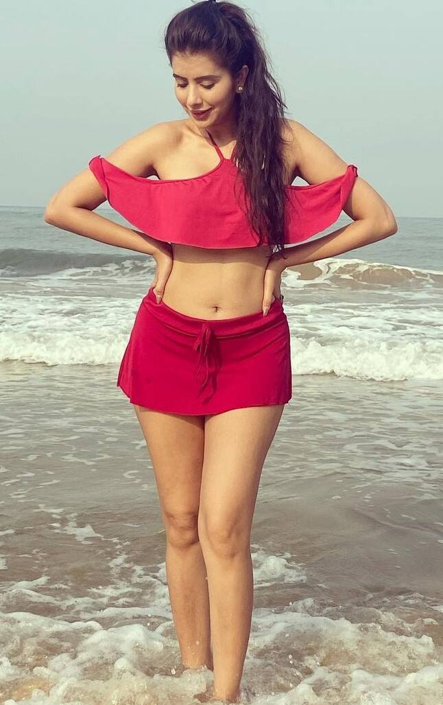 चारू असोपा ने कहा कि उन्हें अपने पति पर भरोसा नहीं है. वहीं राजीव ने कहा कि उन्हें अपनी वाइफ की पहली शादी के बारे में पता नहीं था.