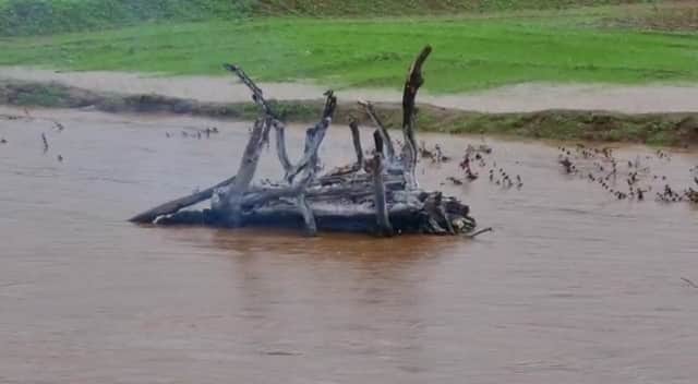 Chhattisgarh During the funeral in Jashpur, river flooded ANN Jashpur News: छत्तीसगढ़ में अंतिम संस्कार के दौरान नदी में आई बाढ़, जान बचाकर भागते नजर आए लोग, जानें- फिर क्या हुआ
