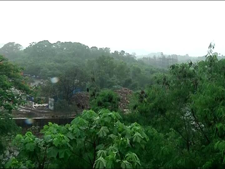तर याच जागेमध्ये मोठ्या प्रमाणात वृक्षसंपदा देखील आढळली. हे काम अद्याप रखडलेलंच आहे.