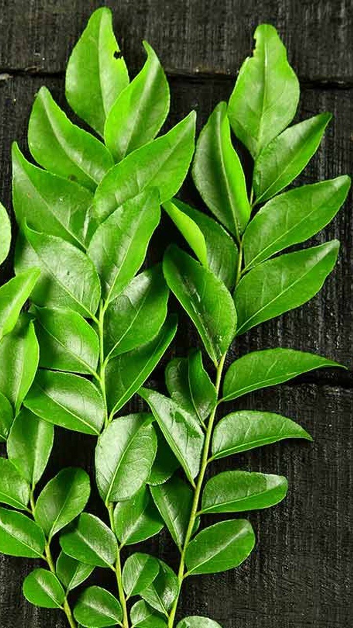 பாக்டீரியாக்களை உணவில் இருந்து அகற்றும்