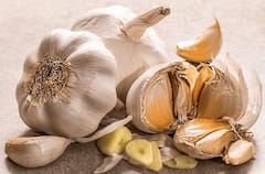 Fungal Infection : बरसात में हो सकती है फंगल इंफेक्शन की समस्या, इन तरीकों से करें बचाव