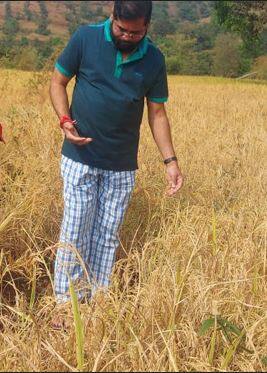 दरे या गावी येतात तेव्हा ते स्वस्थ बसत नाहीत