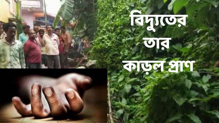 Bankura Electrocution Death On Saturday after heavy rain Bankura Electrocution Death : বৃষ্টিতে  ছিঁড়ে পড়া  তারে বিদ্যুৎস্পৃষ্ট ! ফের প্রাণ গেল ২ জনের