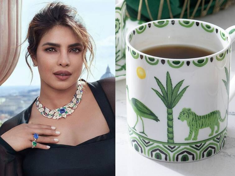 priyanka chopra sona home criticised for overpriced products Priyanka Chopra : तीन हजाराचे कप, तर पाच हजाराची बशी; प्रियांकाच्या 'सोना होम' मधील वस्तूंच्या किंमतींना नेटकऱ्यांनी केलं ट्रोल