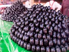 நாவல்பழம் வெறும் பழமல்ல... 6 நன்மைகளை அள்ளித்தரும் அற்புத பொக்கிஷம்!