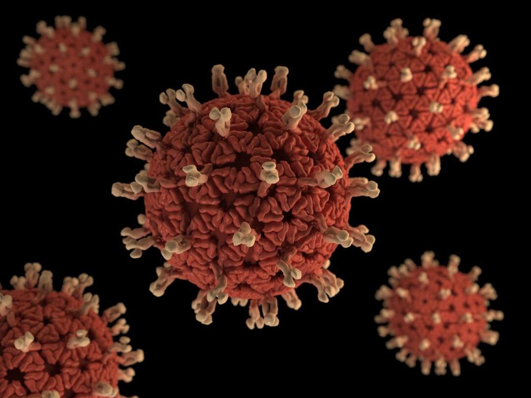 Gujarat Corona Update 580 new cases of Coronavirus were reported on July 2 Gujarat Corona : રાજ્યના આજે ફરીવાર કોરોના વાયરસના 600 નજીક નવા કેસ નોંધાયા, જાણો ક્યાં કેટલા કેસ નોંધાયા