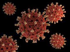 Gujarat Corona : રાજ્યના આજે ફરીવાર કોરોના વાયરસના 600 નજીક નવા કેસ નોંધાયા, જાણો ક્યાં કેટલા કેસ નોંધાયા