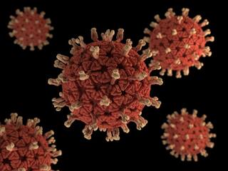 Gujarat Corona : રાજ્યના આજે ફરીવાર કોરોના વાયરસના  600 નજીક નવા કેસ નોંધાયા, જાણો ક્યાં કેટલા કેસ નોંધાયા