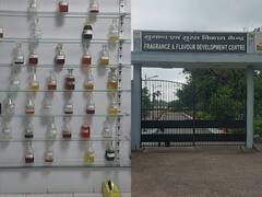 Kannauj News: फ्रांस के राष्ट्रपति को पीएम मोदी ने गिफ्ट किया कन्नौज का इत्र, जानें- क्या है खास?