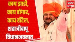 Shahajibapu Patil at Vidhan Bhavan : डायलॉगबाजी फेम आमदार शहाजीबापू पाटलांना विधानभवनात