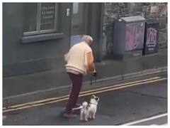 Watch: कुत्ते के साथ स्केटबोर्डिंग करते इस बूढ़े शख्स को देखकर यूजर्स हुए हैरान