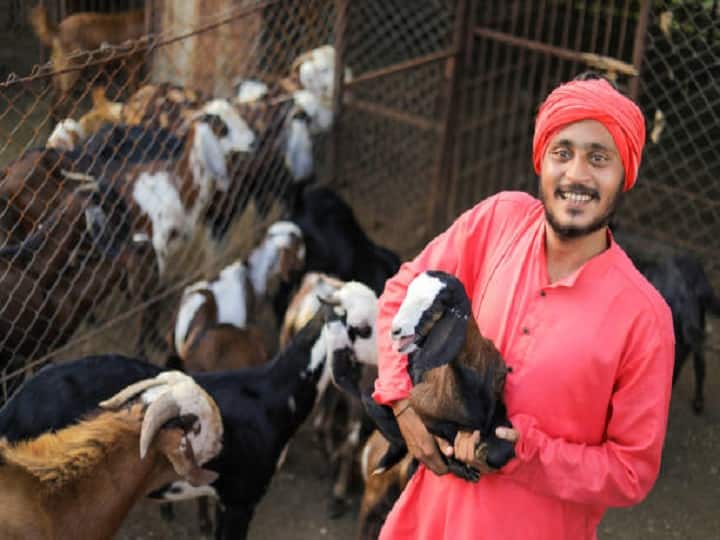 know the benefits & process of 50% Government subsidy on startup of small animals' husbandry Subsidy Offer: इन छोटे पशुओं का 'स्टार्ट अप फार्म' खोलने के लिये मिलेगी 50% सब्सिडी, यहां करें आवेदन