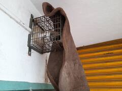 கோணிப்பையை வைத்து சிசிடிவி மறைப்பு: நகைக்கடையில் 5 லட்சம் மதிப்புள்ள தங்கம் கொள்ளை