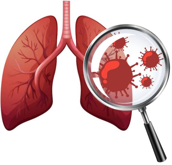 Madagascar Periwinkle : सेहत के लिए सदाबहार फूल है बेस्ट, जानें इसके बेमिसाल फायदे