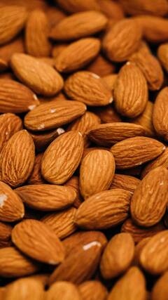 Health Tips : निरोगी राहण्यासाठी 'या' गोष्टी पाण्यात भिजवून खा; काही दिवसांतच फरक जाणवेल