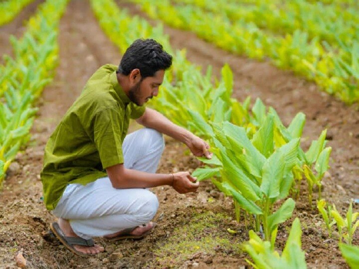 Subsidy Offer : ਮਾਲਾਮਾਲ ਹੋਣਗੇ ਜੈਵਿਕ ਖੇਤੀ ਕਰਨ ਵਾਲੇ ਕਿਸਾਨ, ਮਿਲੇਗੀ 50,000 ਰੁਪਏ ਦੀ ਗ੍ਰਾਂਟ, ਜਲਦ ਤੋਂ ਜਲਦ ਕਰੋ ਅਪਲਾਈ