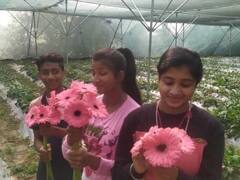 Jamshedpur News: जमशेदपुर में दो बहनों ने बनाया खेती का अनूठा मॉडल, मां ने गहने गिरवी रख कर की थी मदद