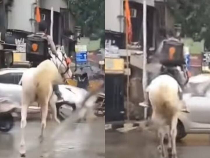 Swiggy Delivery Boy travelling on horse to deliver food Video Viral on Social Media- Watch Viral Video: கொட்டும் மழை... குதிரை சவாரி... விடாமல் உணவை டெலிவரி செய்த ஸ்விக்கி ஊழியர்!