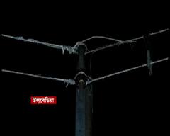 Howrah: ছেঁড়া তারে বিদ্যুৎস্পৃষ্ট যুবক, বাড়ি ফেরার পথে মর্মান্তিক মৃত্যু
