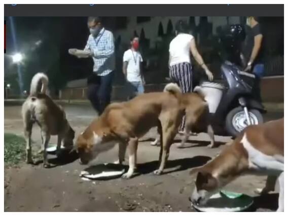 Watch: अगरतला की एक NGO भूखे जानवरों को देती है भोजन, वायरल वीडियो देखकर यूजर्स बोले- Great Job Watch: अगरतला की एक NGO भूखे जानवरों को देती है भोजन, वायरल वीडियो देखकर यूजर्स बोले- Great Job