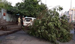 Ahmedabad: પહેલા વરસાદે જ ખોલી પ્રિ-મોન્સૂન કામગીરીની પોલ, 300થી વધુ વૃક્ષો ધરાશાયી