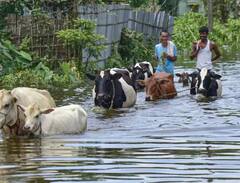 ਅਸਮ 'ਚ ਭਾਰੀ ਮੀਂਹ ਤੇ ਹੜ੍ਹ ਨੇ ਮਚਾਈ ਤਬਾਹੀ, ਹਜ਼ਾਰਾਂ ਘਰ ਡੁੱਬੇ, ਲੋਕ ਭੱਜਣ ਲਈ ਮਜਬੂਰ