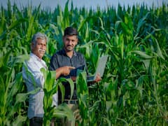 Crop Insurance: खरीफ फसलों के किसान हो जायें सावधान, 31 जुलाई तक करवायें फसल का बीमा
