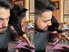 Viral Video: शख्स कर रहा था नाश्ता, बिल्ली ने पलक झपकते ही हाथ से छीन लिया ब्रेड का टुकड़ा