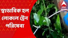Howrah News: বাড়ি ফেরার পথে ছেঁড়া তারে বিদ্যুত্স্পৃষ্ট হয়ে মৃত্যু যুবকের