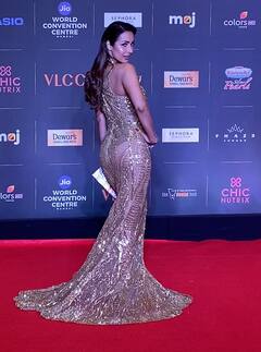 Miss India Finale में छा गईं Malaika Arora, ट्रांसपेरेंट गाउन पहन रेड कारपेट पर उतरीं