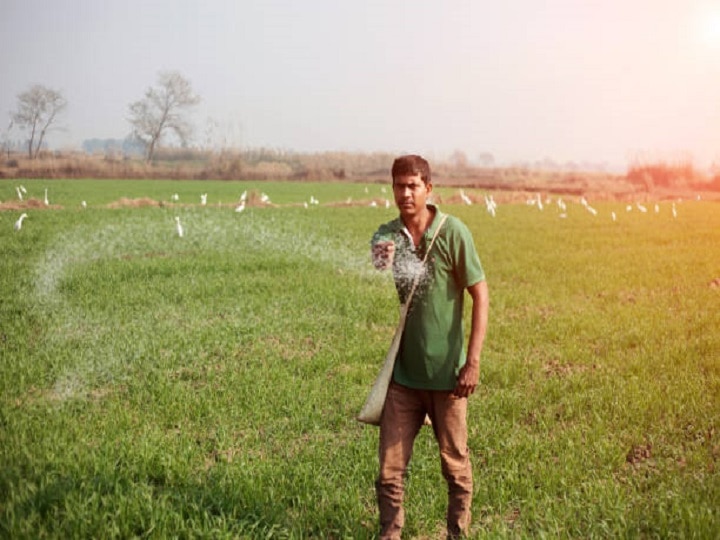 Crop Management: कम खर्च में मिलेगा दमदार उत्पादन, जानें फसल की पैदावार बढ़ाने के आसान तरीके