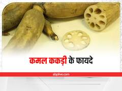 Lotus Root: रोजाना खाएं कमल ककड़ी, कोलेस्ट्रॉल और मोटापे जैसी ये 6 समस्याएं रहेंगी दूर