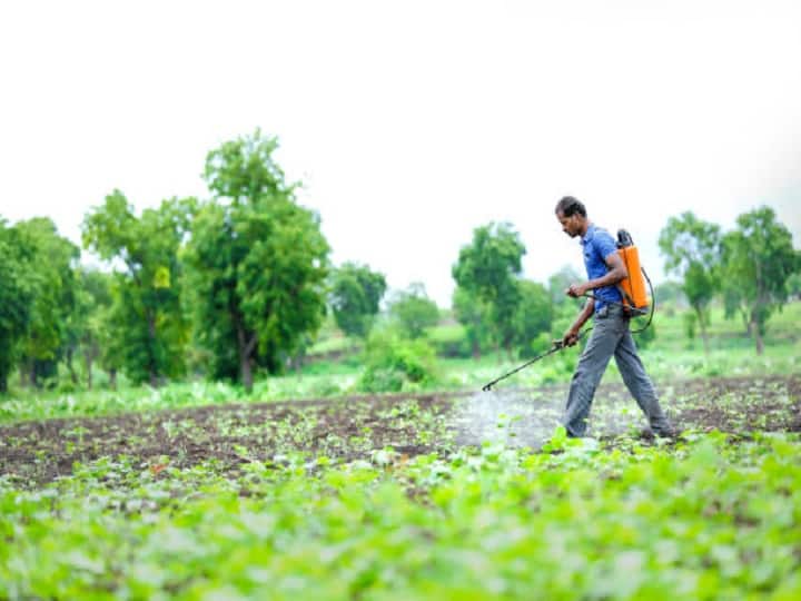 Agriculture News: Pradhan Mantri Fasal Beema Yojna for Kharif Crop Crop Insurance: ખરીફ વાવેતર કરતાં ખેડૂતો થઈ જાવ સાવધાન, 31 જુલાઈ સુધીમાં કરો આ કામ