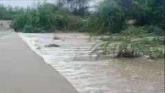 દેવભૂમિ દ્વારકામાં સાંબેલાધાર વરસાદ, નદીઓ થઈ બે કાંઠે વહેતી; જુઓ કેવી છે સ્થિતિ