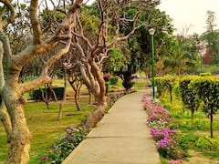 Delhi News: चंदन की खुशबू से महकेंगे राजधानी के पार्क, मानसून के दौरान लगेंगे 10 हजार पेड़