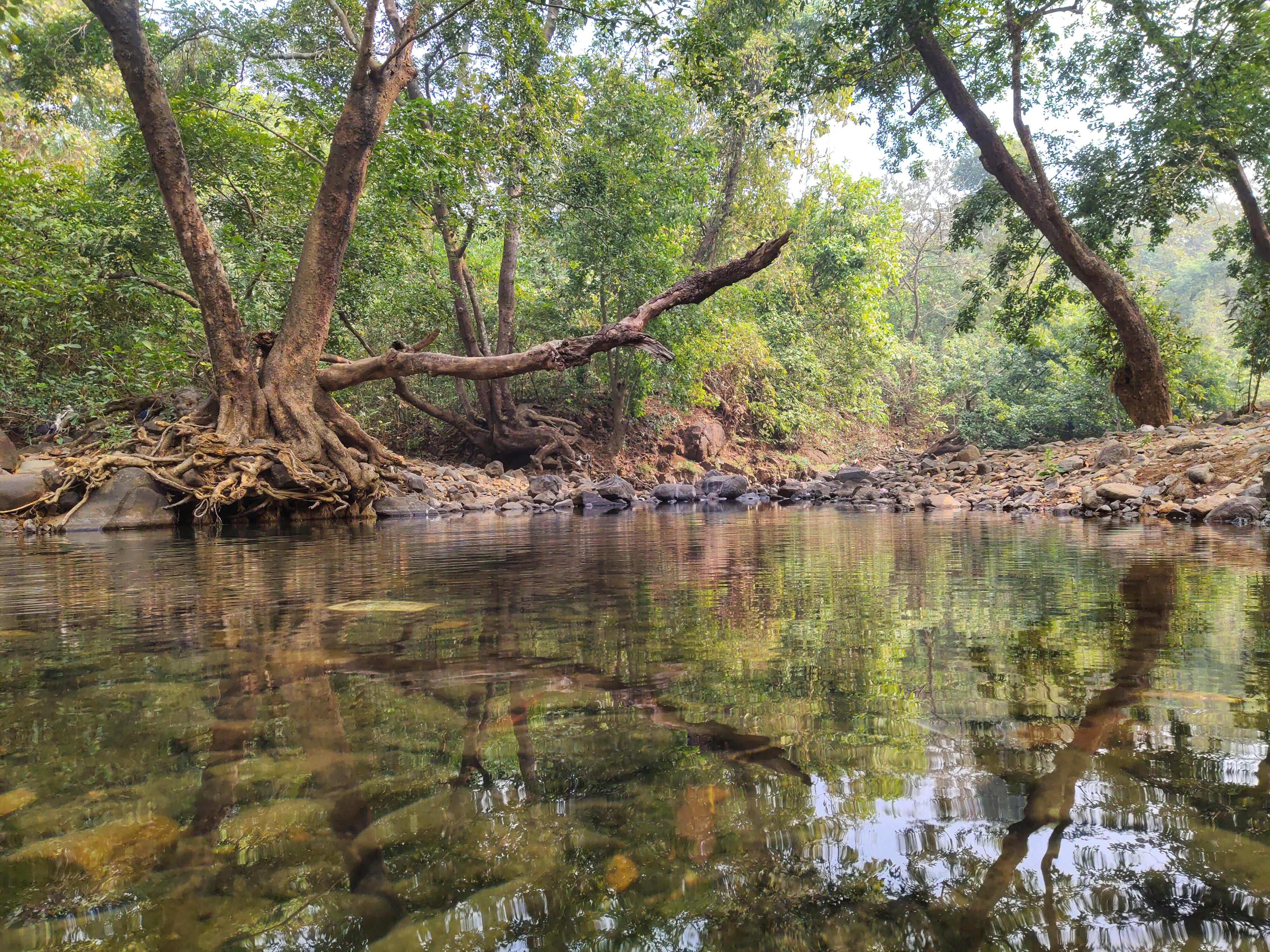 Travel : वर्षा पर्यटनासाठी मुंबईपासून हाकेच्या अंतरावर असलेले ‘बेस्ट डेस्टिनेशन’; नक्की वाचा