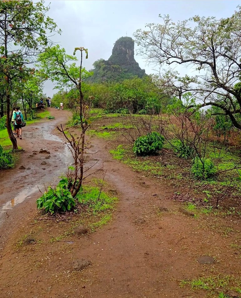 Travel : वर्षा पर्यटनासाठी मुंबईपासून हाकेच्या अंतरावर असलेले ‘बेस्ट डेस्टिनेशन’; नक्की वाचा