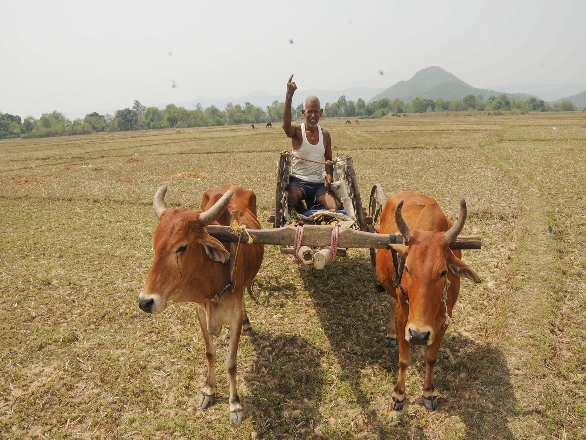 Agriculture Schemes: દરેક ખેડૂતે લેવો જોઈએ આ 5 કૃષિ યોજનાનો લાભ, થશે અઢળક ફાયદા