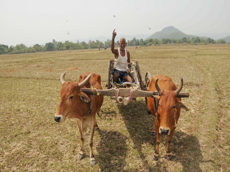 Agriculture Scheme: Paramparagar krishi vikas yojana for organic farmers Paramparagat Krishi Vikas Yojna: ઓર્ગેનિક ખેતી કરતાં ખેડૂતો થશે માલામાલ, મળશે 50 હજારની સહાય, જલદી કરો અરજી