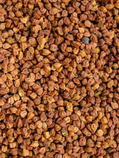 Health Tips : पचनक्रिया सुधारण्यासाठी वाचा काळ्या चण्याचे फायदे