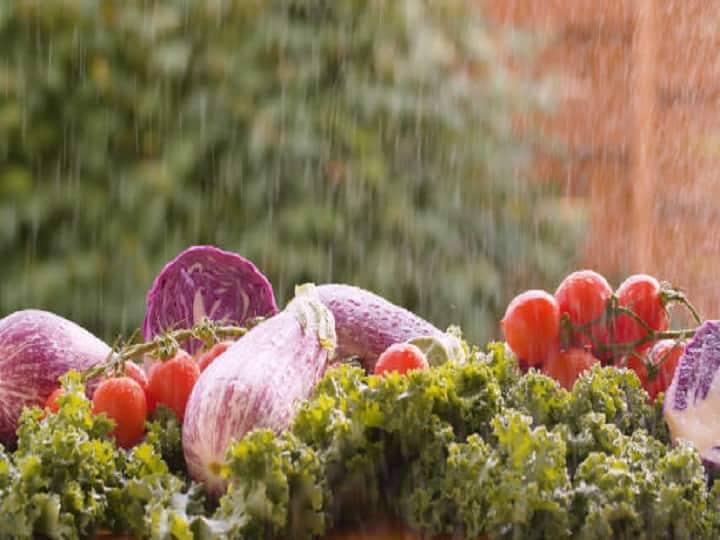 take these precautions in vegetables farming will give bumper production in the Monsoon rain Vegetable Farming: बारिश के मौसम में बंपर उत्पादन देंगी ये सब्जियां, इनकी खेती में बरतें ये सावधानियां
