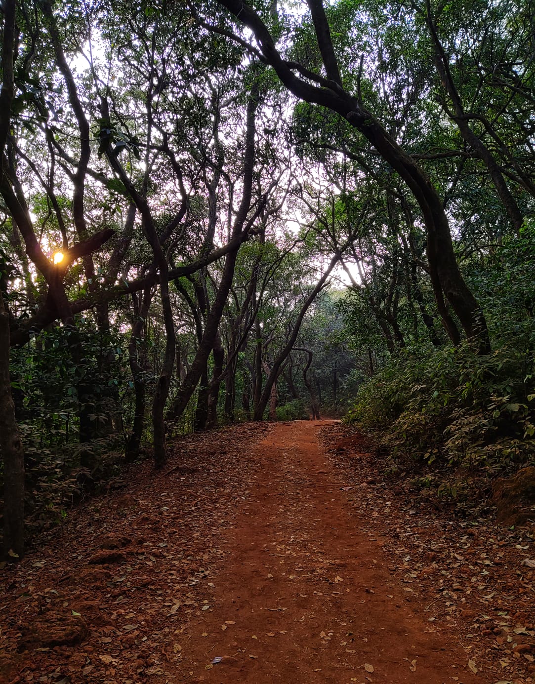 Travel : वर्षा पर्यटनासाठी मुंबईपासून हाकेच्या अंतरावर असलेले ‘बेस्ट डेस्टिनेशन’; नक्की वाचा