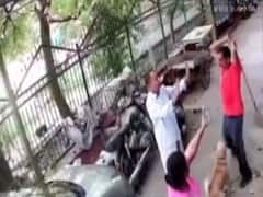 Caught On Camera: Delhi Man Hits Barking Dog, Its Owners With Iron Rod. Case Filed