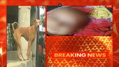 Vadodara: શ્વાનનો શિકાર બનેલી માસૂમની શું છે સ્થિતિ?, જુઓ આ વીડિયો